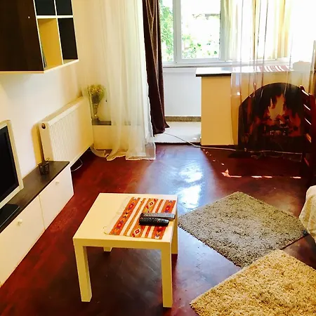 Appartamento Spacious Cismigiu Park Bucarest
